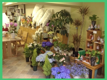 東京都新宿区の花屋 花喜太にフラワーギフトはお任せください 当店は 安心と信頼の花キューピット加盟店です 花キューピットタウン